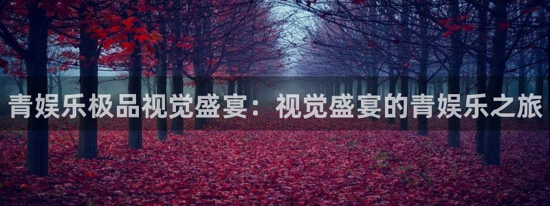 极悦平台在线预测：青娱乐极品视觉盛宴：视觉盛宴的青娱乐之旅