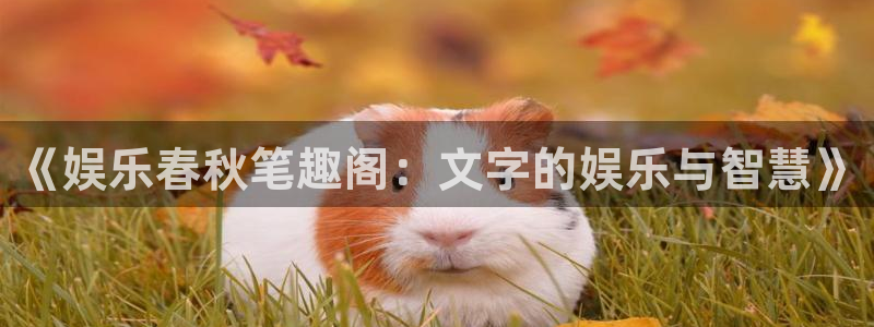 极悦平台加拿大在线预测：《娱乐春秋笔趣阁：文字的娱乐与智慧》