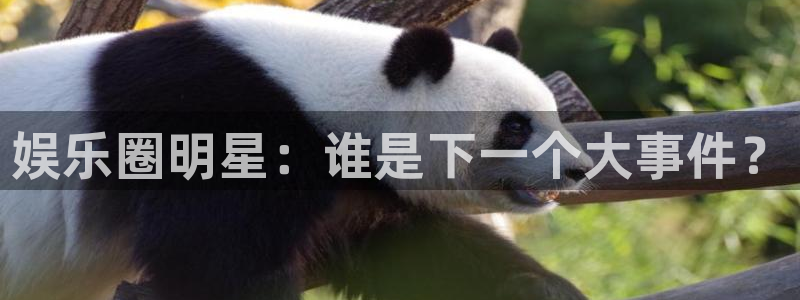 极悦平台怎么下载：娱乐圈明星：谁是下一个大事件？