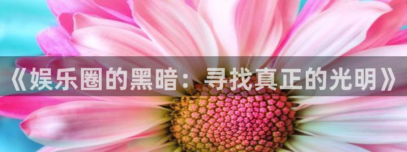极悦平台加拿大在线预测：《娱乐圈的黑暗：寻找真正的光明》