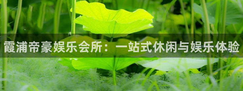 极悦平台官网下载：霞浦帝豪娱乐会所：一站式休闲与娱乐体验