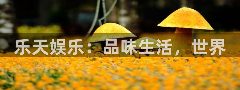 极悦平台(com.youad.authst)：乐天娱乐：品味生活，世界