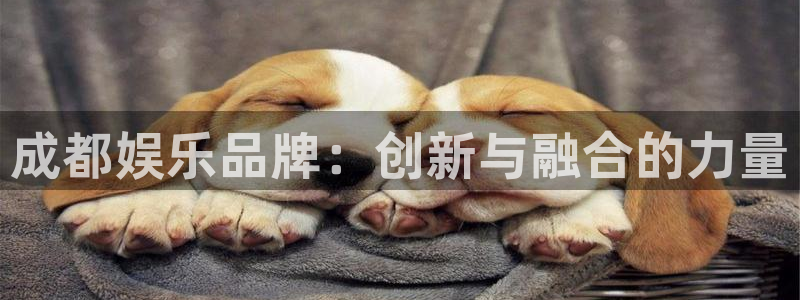 壹号大舞台：成都娱乐品牌：创新与融合的力量