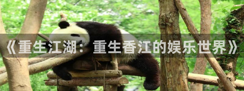 壹号大舞台怎么注册：《重生江湖：重生香江的娱乐世界》