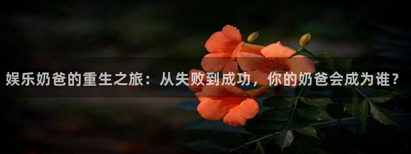 极悦平台 - ng大舞台,有梦你就来：娱乐奶爸的重生之旅：从失败到成功，你的奶爸会成为谁？