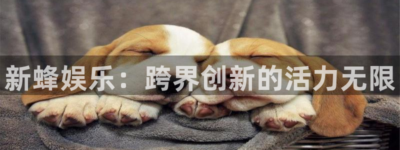 极悦平台注册入口：新蜂娱乐：跨界创新的活力无限
