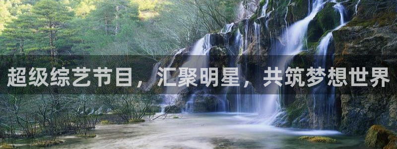极悦平台可靠吗：超级综艺节目，汇聚明星，共筑梦想世界