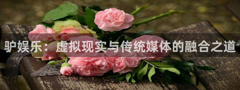 极悦平台注册入口