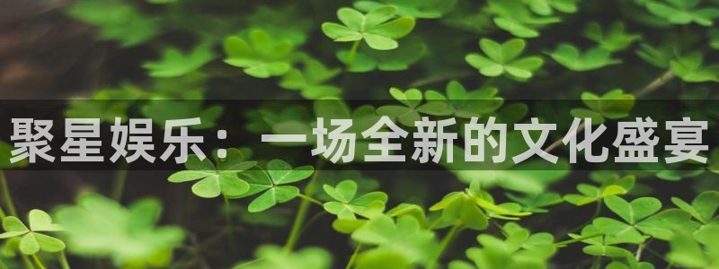 极悦平台在线下载：聚星娱乐：一场全新的文化盛宴