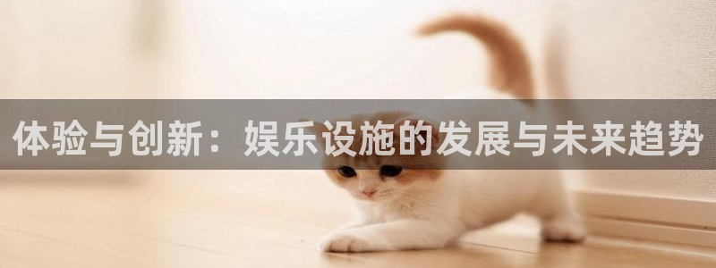 极悦平台.ccm：体验与创新：娱乐设施的发展与未来趋势