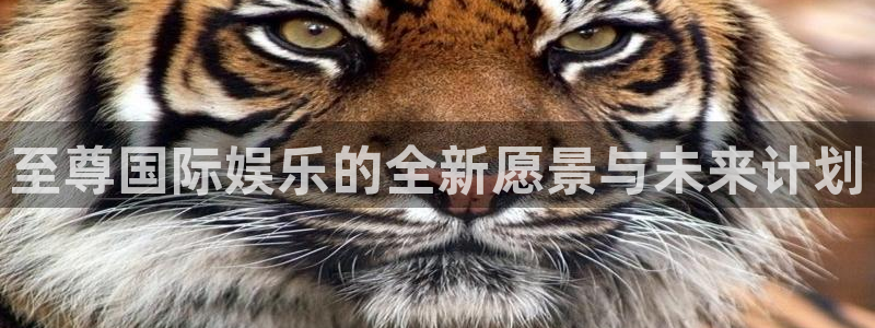 极悦平台app新版上线体验.游戏更新入口.中国：至尊国际娱乐的全新愿景与未来计划
