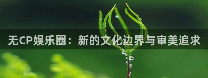 极悦平台注册链接：无CP娱乐圈：新的文化边界与审美追求