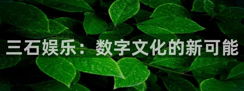 极悦平台网站：三石娱乐：数字文化的新可能