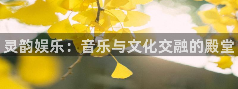 壹号电子娱乐app下载最新版本安装：灵韵娱乐：音乐与文化交融的殿堂
