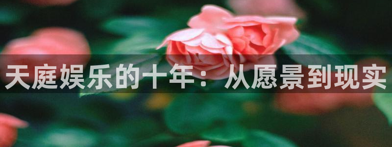 极悦平台.ccmpc正版官网版下载：天庭娱乐的十年：从愿景到现实
