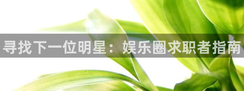 壹号大舞台,有梦你就来：寻找下一位明星：娱乐圈求职者指南