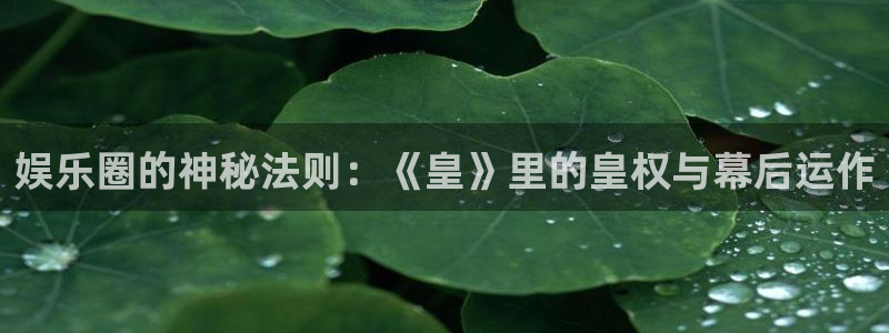 极悦平台app下载：娱乐圈的神秘法则：《皇》里的皇权与幕后运作
