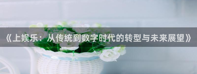 极悦平台网站：《上娱乐：从传统到数字时代的转型与未来展望》